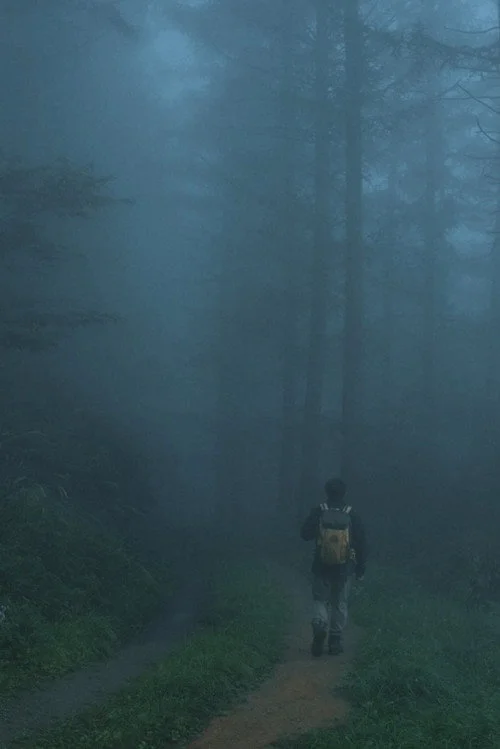Men Wandering in the Mountain