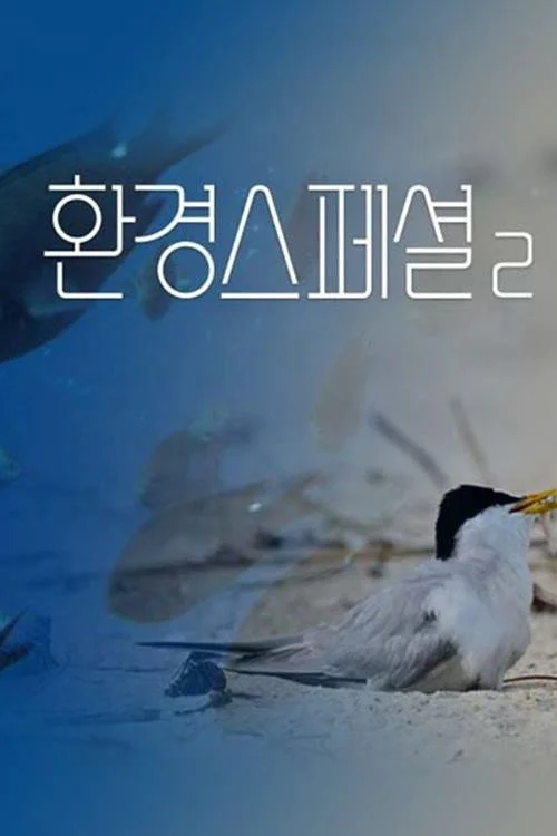 UHD 환경스페셜2